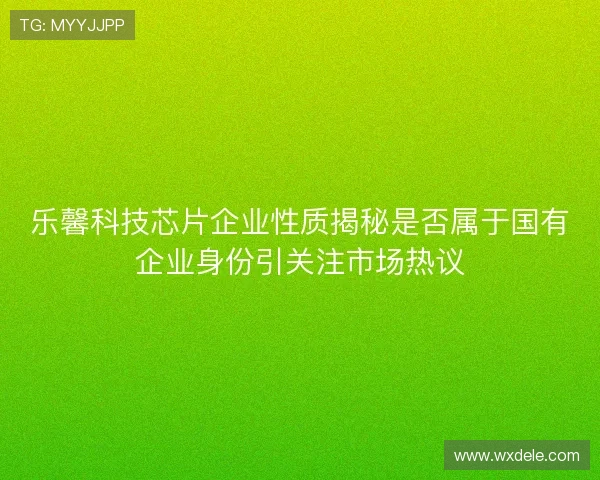 乐馨科技芯片企业性质揭秘是否属于国有企业身份引关注市场热议